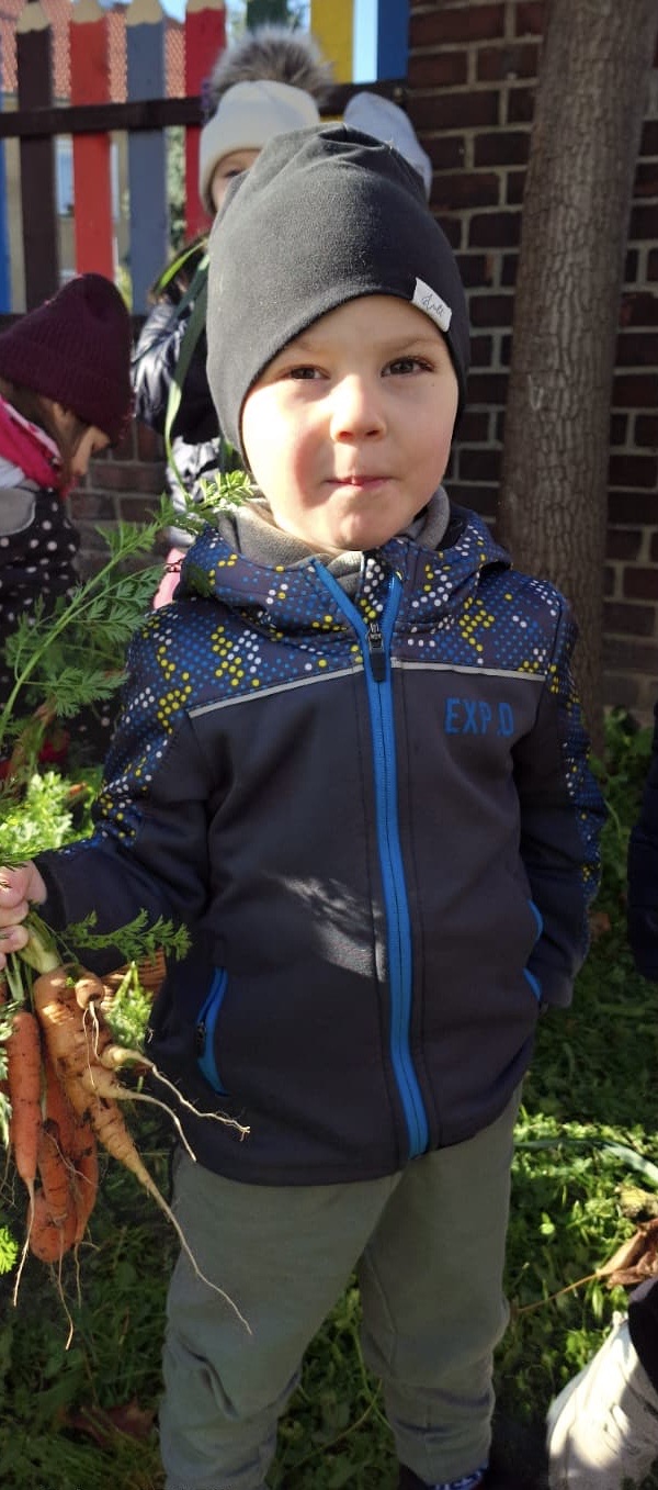 e2850d20-2393-4feb-af47-5cad7b03e241