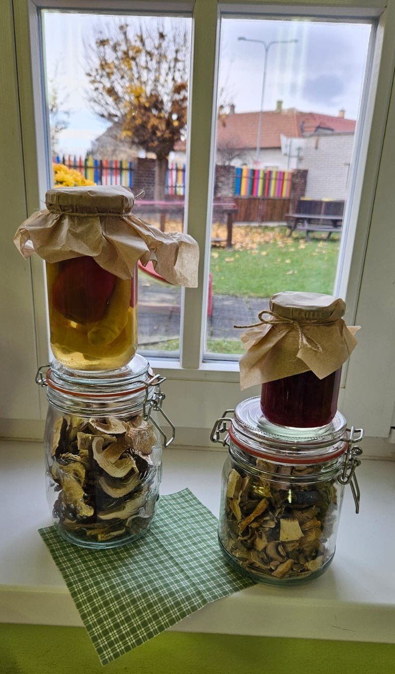 12dc293c-701d-44f9-8a16-00d561bc0141