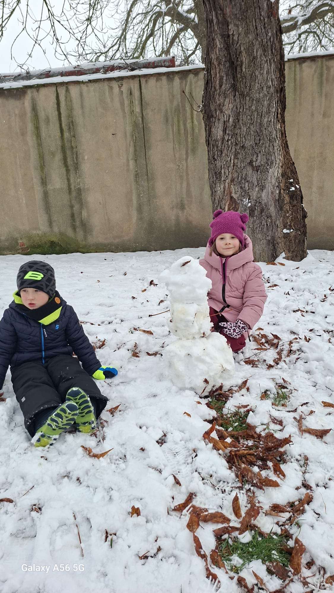 1e6c3d4e-f45c-478d-9892-866c2b339df8_001