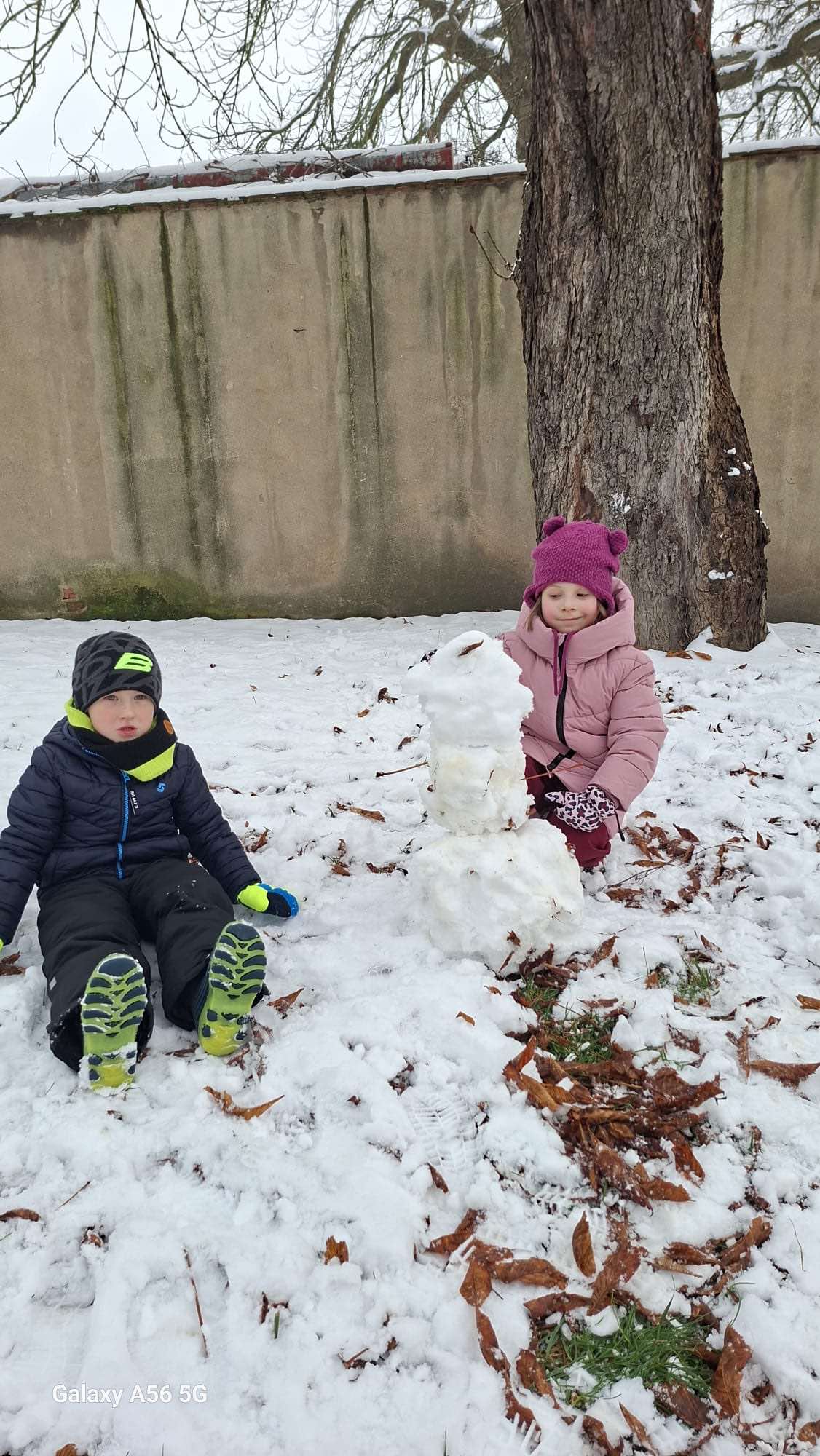 51c919d3-0081-493f-83f1-afd154961e6f_001