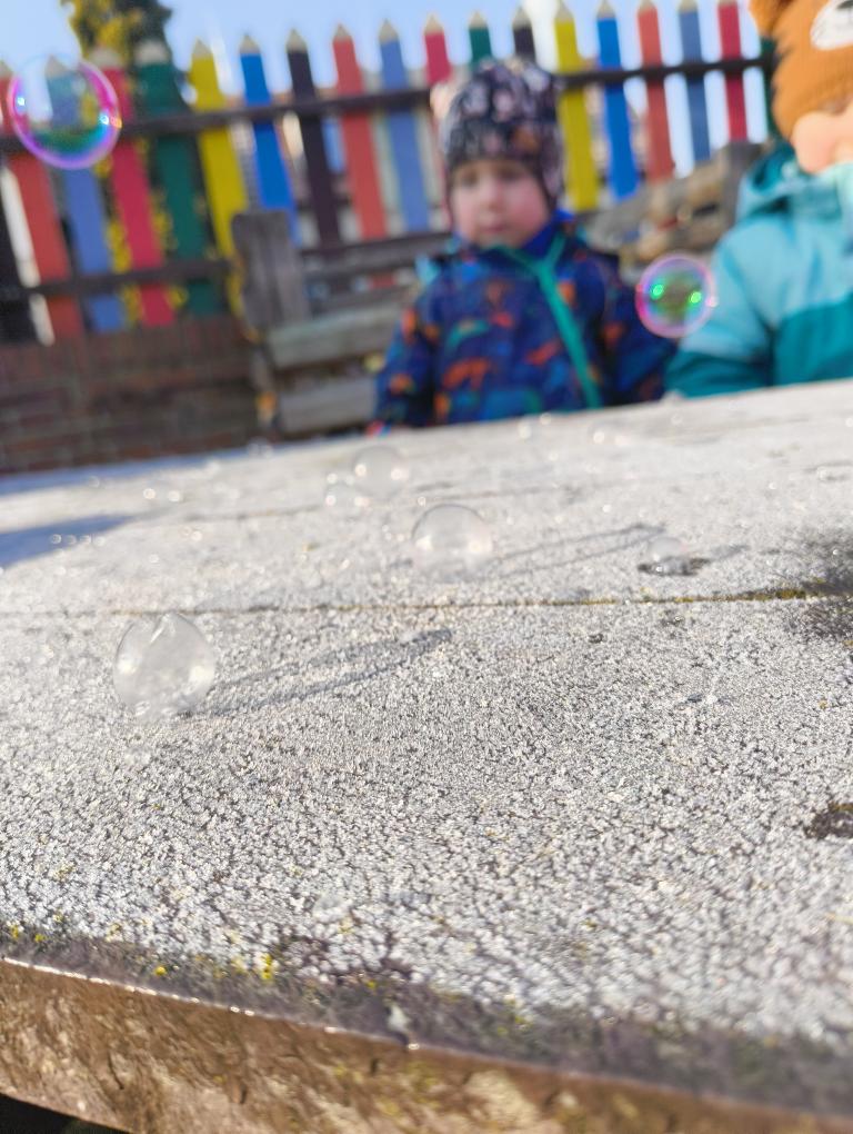 IMG_20260122_104241677