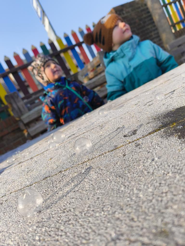 IMG_20260122_104246709