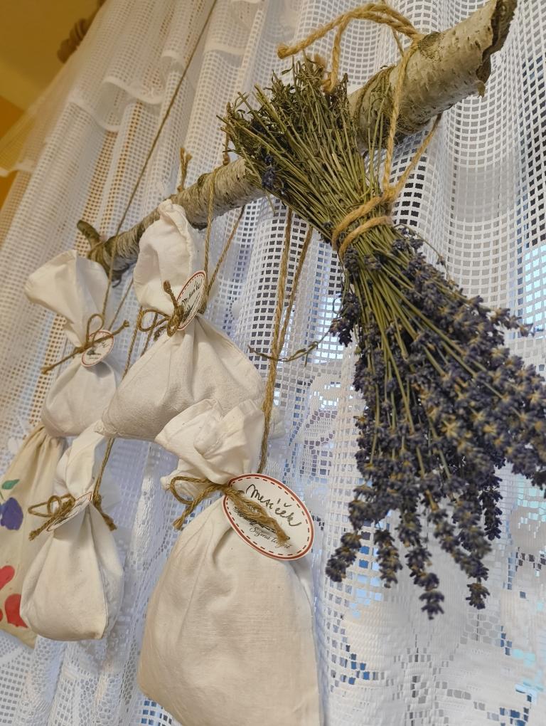 IMG_20260203_083125249