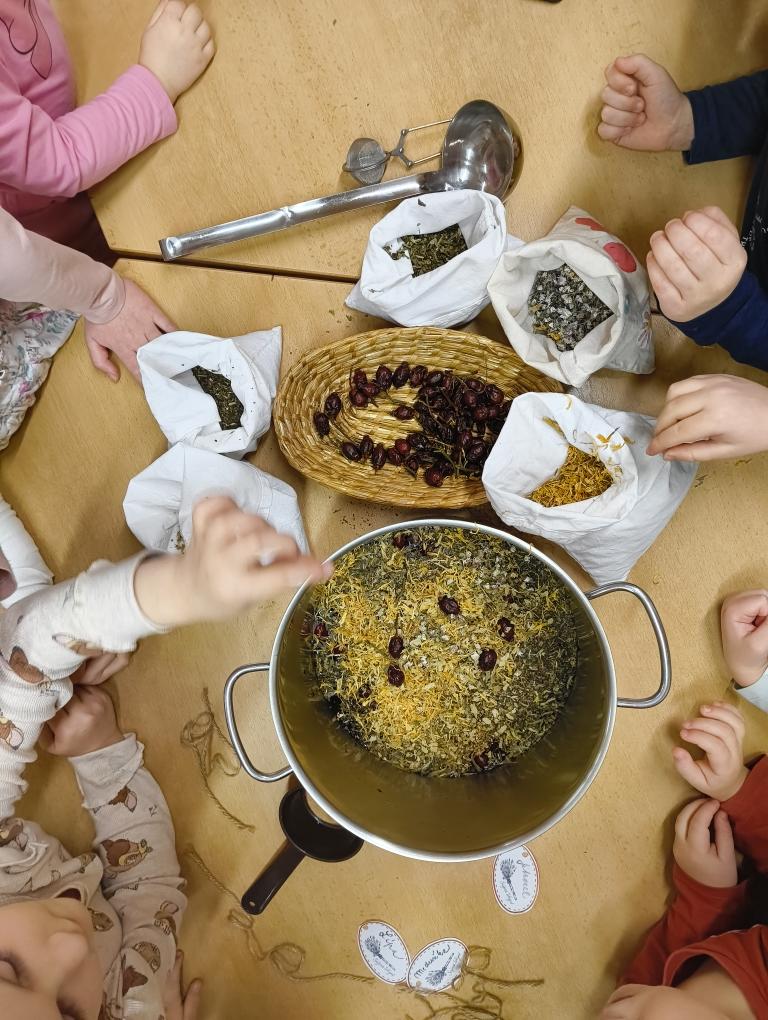 IMG_20260203_093102323