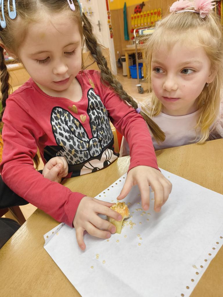 IMG_20260302_094103717