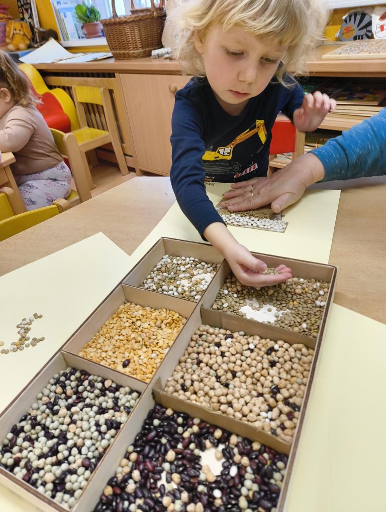 IMG_20260303_092830331