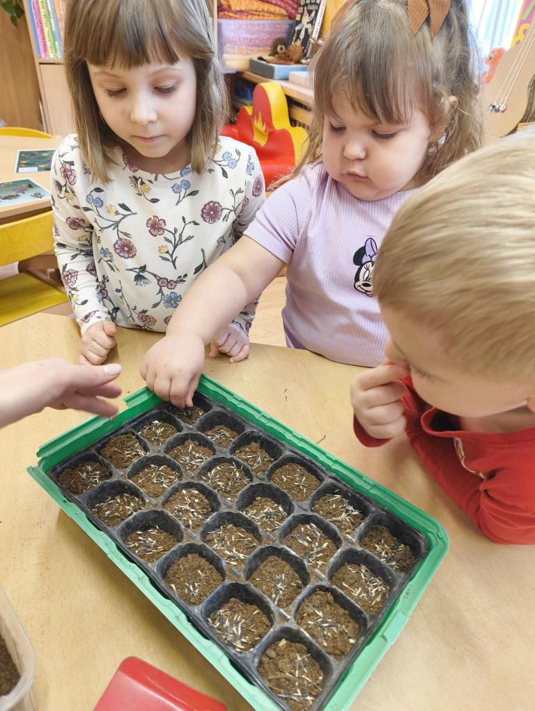 IMG_20260305_094940285