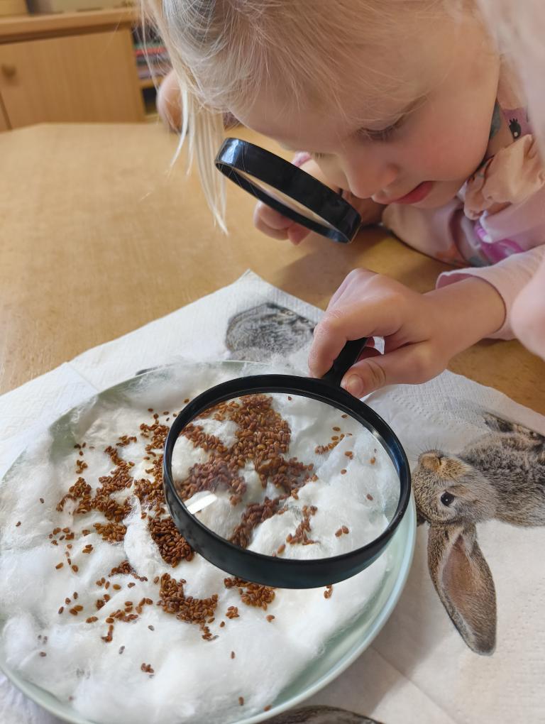 IMG_20260311_095101365