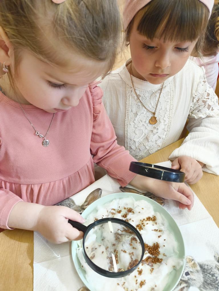 IMG_20260311_095117355