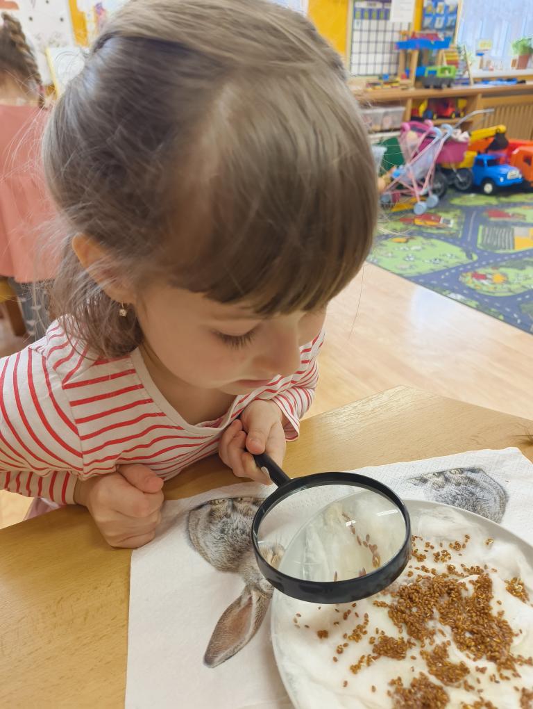 IMG_20260311_095139457