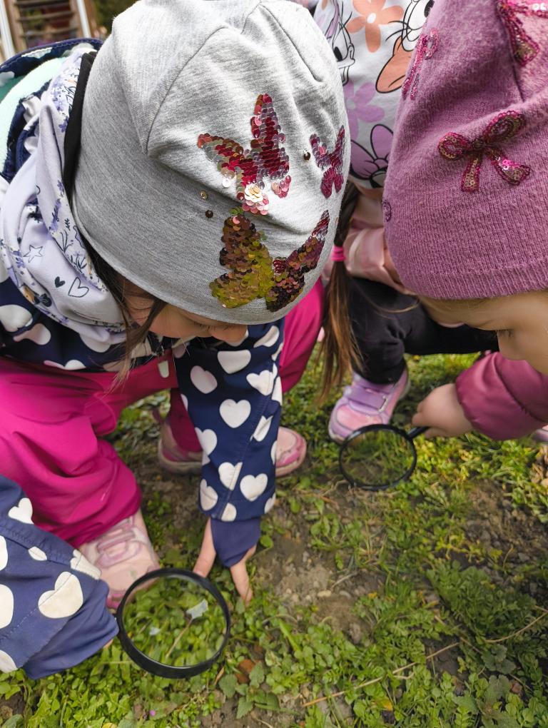 IMG_20260311_104335181